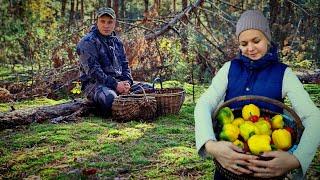 Этот ЛЕС не перестаёт нас удивлять. ЗАКРЫВАЕМ СЕЗОН.