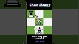 When Both Rooks Are Under Attack | Chess Memes