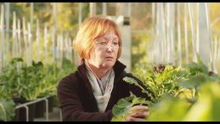 Plant Breeding Matters | Protecting and promoting innovation