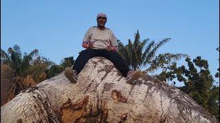 Canjie creek in berbice guyana