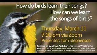 Tom Stephenson: Learning Bird Song