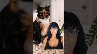 #Calico cat wearing glasses