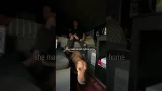 The Best Part of Van Life