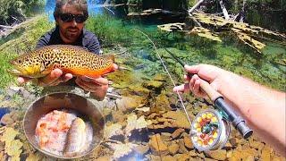 SIGHT FISHING the PRETTIEST TIGER TROUT I’VE SEEN!! + Catch & Cook