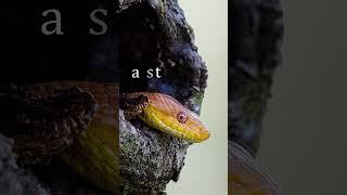 Unlocking the Power of Visual Stories: Photography Tips and Tricks 
