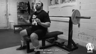 "Big on the Basics": Bench with Andrey Malanichev