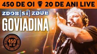 Zdob and Zdub — Goviadina / Sârba lui Cacurică (450 sheep / 20 years Live)