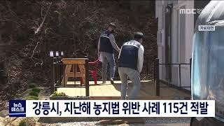 [단신] 강릉지역 농지법 위반 사례 115건...원상 회복 등 강력 조치 220316