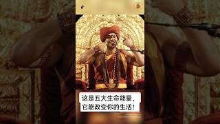 这是五大生命能量，它能改变你的生活！#尼希亚南达 #nithyananda