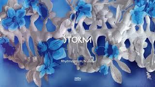 Rhytmograph, N.Jam - Storm // EarthVox