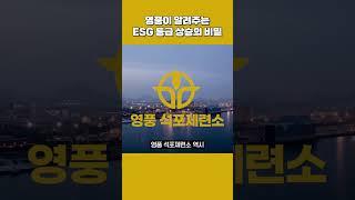ESG 등급 올라 '장관상'까지 수상했죠 #shorts #쇼츠 #영풍