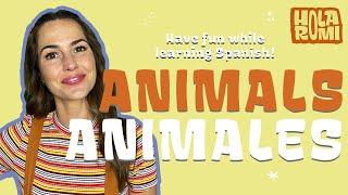 Animals in Spanish! Animales | Kids Spanish with Hola Romi!