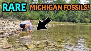 This Michigan Shoreline is LOADED with the Remains of a 390 MILLION Year Old Tropical Ocean!