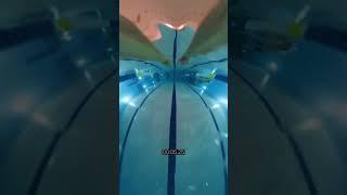 25 meter butterfly sprint with fins ‍️! #swimming #swim #shorts