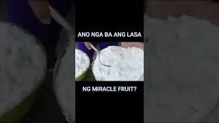 Ganito pala ang lasa ng Miracle Fruit, panoorin mo hanggang dulo #buhayprobinsya #fruit