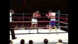 Mike Tyson Vs Don Halpin Highlights (3rd. Pro Fight)