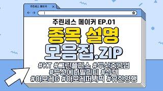 [주린세스메이커 EP.1-1] 문서진 전문가의 종목설명 모음zip!
