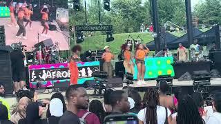 Glimpse of AFROFEST Toronto 2024.