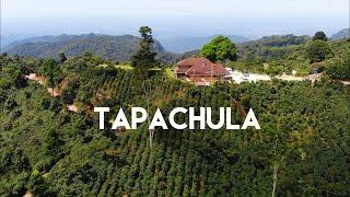 Tapachula, Tuxtla Chico y la Ruta del Café en Chiapas - La puerta al Soconusco