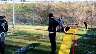Spotty alla prima prova di Agility