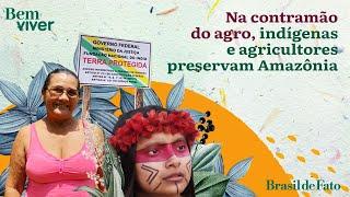 Na contramão do agro, indígenas e agricultores preservam Amazônia | Bem Viver