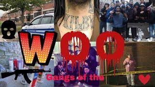 The Gangs of Worcester MA$$