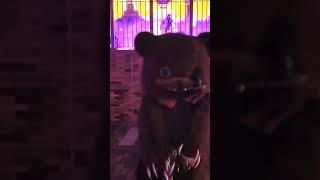 クルクル回っちゃうハミクマ様が可愛いデス