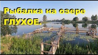 Рыбалка на фидер - озеро Глухое. Feeder fishing for roach on the Siberian lake.