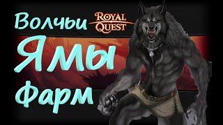 Royal Quest Волчьи Ямы Часовой Фарм