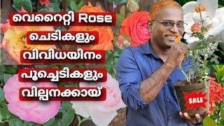 വിവിധയിനം Flowering ചെടികളും വെറൈറ്റി Rose ചെടികളും #evergreen_media_vlog