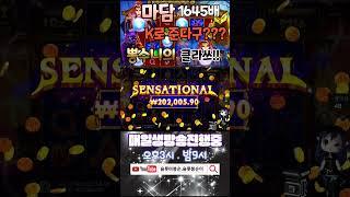 마담메가웨이즈 k로 1645배 먹능 봉순이의클라쓰!#shorts #슬롯 #프라그마틱  #슬롯실시간 #실시간슬롯 #슬롯봉순이#슬롯마봉순