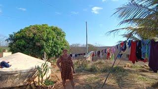 Vamos conhecer a Ana filha de seu Manoelzinho, vejam as plantações dela.