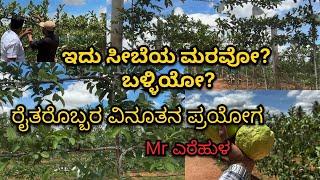 ಈ ತರ ಸೀಬೆ ತೋಟ ನೀವು ನೋಡಿರಲ್ಲ , ನೋ ವೇ-ಚಾನ್ಸ್ಏ ಇಲ್ಲಾ |Different Guava Farm | VNR Variety  @mrerehulaa