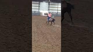 river and autm practice #barrelracing #love #fyp #equestrian