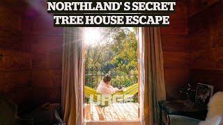 Wild Forest Estate: Northland's secret tree house escape | TRAVEL | STUFF TRAVEL