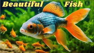 Captivating Beauty Beneath the Surface: Samundri Fish in HD