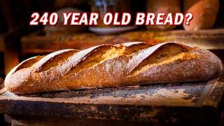 I baked a 240-year-old bread in the Sourdough Library! | Semi Whole Wheat Bread Recipe