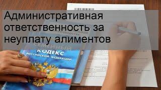 Административная ответственность за неуплату алиментов