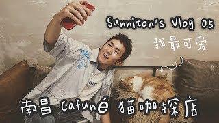 sunniton的vlog 05：Cafuné猫咖探店