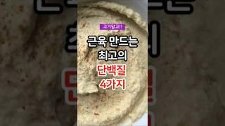 고기없이 근육 만드는 최고의 단백질 4가지 /고기대신 이걸 드세요 #건강 #건강정보 #건강상식