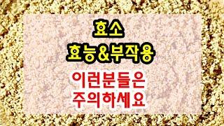 발효 / 효소 효능과 부작용 잘 알고 드셔야해요~