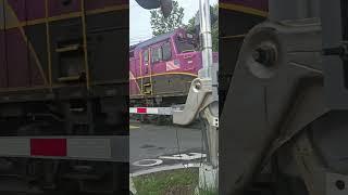 truck driver gets really lucky