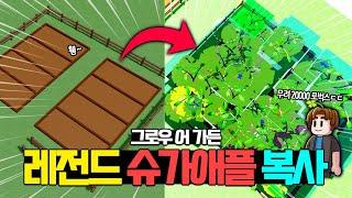 슈가애플을 복사 해봤더니..ㄷㄷ 이거 맞나요?! [그로우어가든 : 로블록스]