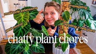 i'm using plants as a coping mechanism