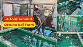 A quick Koi trip around Otsuka Koi Farm, one of the most famous Ki-utsuri Koi Breeder