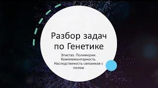 Разбор задач по Генетике: Эпистаз. Полимерия. Комплементарность. Наследственость связанная с полом