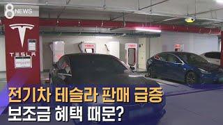 도로서 부쩍 많이 보이는 '테슬라'…보조금 혜택 때문? / SBS