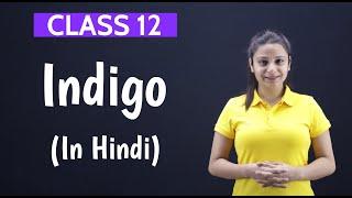 Indigo Class 12 in Hindi | Class 12 Indigo Summary in Hindi | With Notes