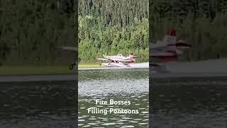 Fire Bosses close up skimming