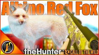 ALBINO RED FOX for Our Layton Trophy Cabin! | theHunter Call of the Wild